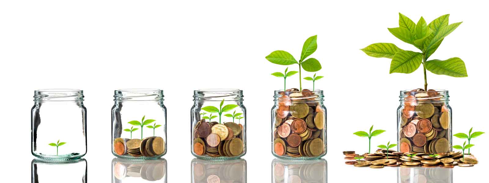 Savings growing in glass jars